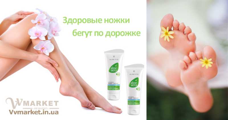 Купить Алоэ Вера восстанавливающий крем для ног Aloe Via LR (Aloe Vera foot cream), набор со скидкой по выгодной цене с доставкой Киев, Львов, Одесса, Николаев, Херсон, Харьков, Полтава, Днепропетровск, Запорожье, Донецк, Измаил, Сумы, Терновка, Могилев-Подольский, Жашков, Косов, Луганск, Раздельная, Луцк, Фастов, Тернополь, Тетиев, Казатин, Белая Церковь, Обухов, Бучач, Валки, Александрия, Варва, Хуст, Черновцы, Овидиополь, Коломыя, Изюм, Борисполь, Радехов, Днепрорудное, Очаков, Доброполье, Кременчуг, Вышгород, Гадяч, Калуш, Нежин, Татарбунары, Немиров, Добрянка, Каменец-Подольский, Ужгород, Каменка, Кривой Рог, Куйбышево, Черноморск, Ширяево, Червоноград, Умань, Хмельник, Прилуки, Хмельницкий, Черкассы, Кулиничи, Мариуполь, Купянск, Ладыжин, Украина, Казахстан